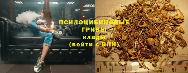 каннабис Алзамай