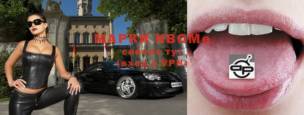 мет Алексин